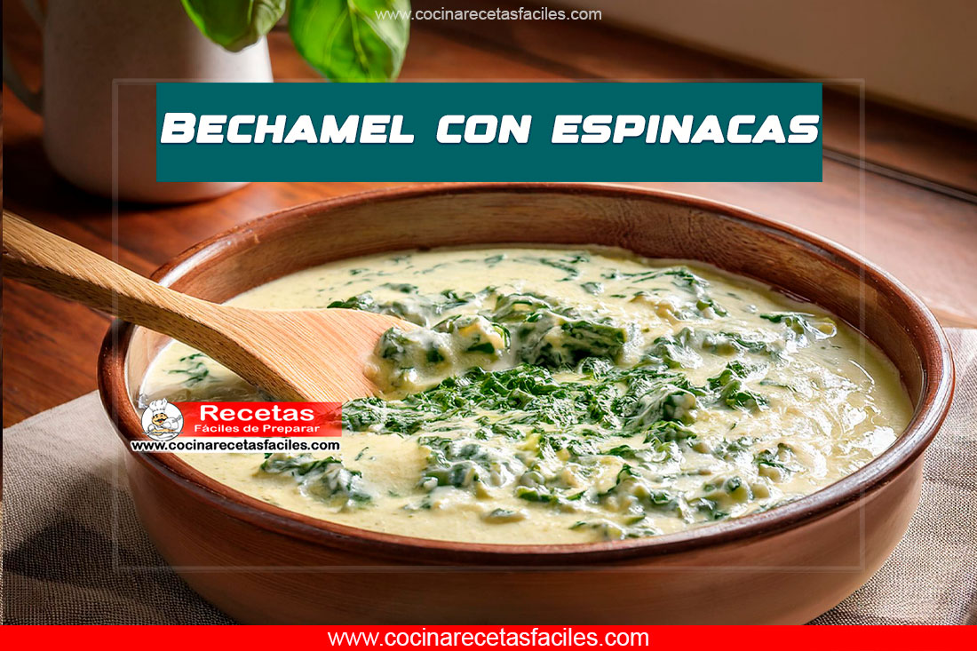Salsa bechamel con espinacas en un plato hondo.